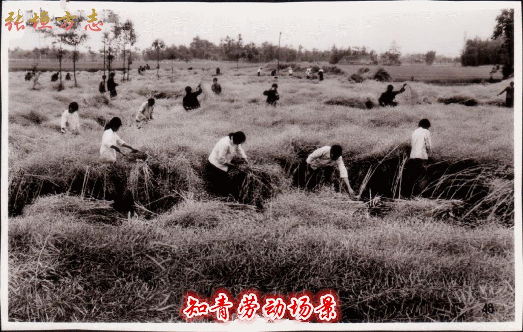 知青涨薪喜讯揭晓，期待已久的好消息终于来临！