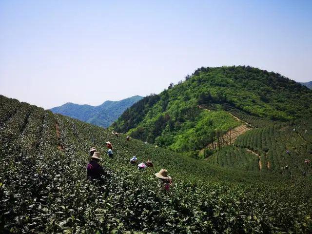 最新闲置土地处理办法，优化土地资源利用的关键策略