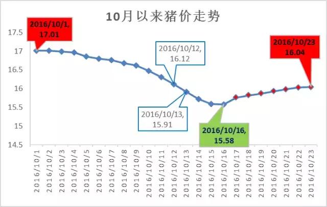 最新猪价行情分析与预测，价格走势及未来展望