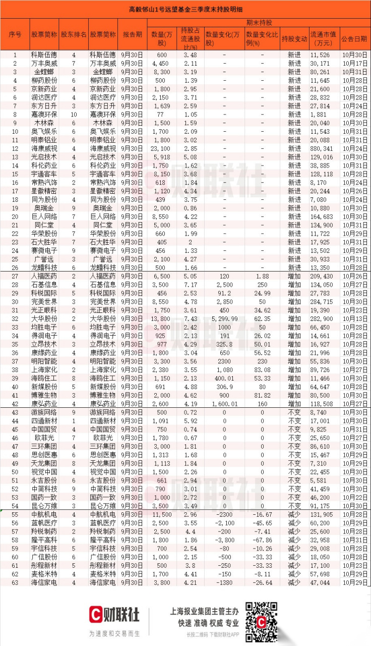 任向敏最新持股全景解析，投资组合与策略深度探究