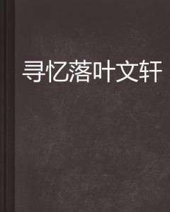 叶忆落最新作品集，文学魅力与深度的探索