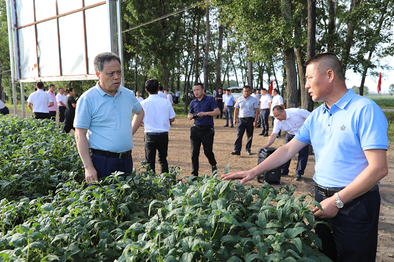 综合农场新任领导引领农业现代化，重塑乡村新貌