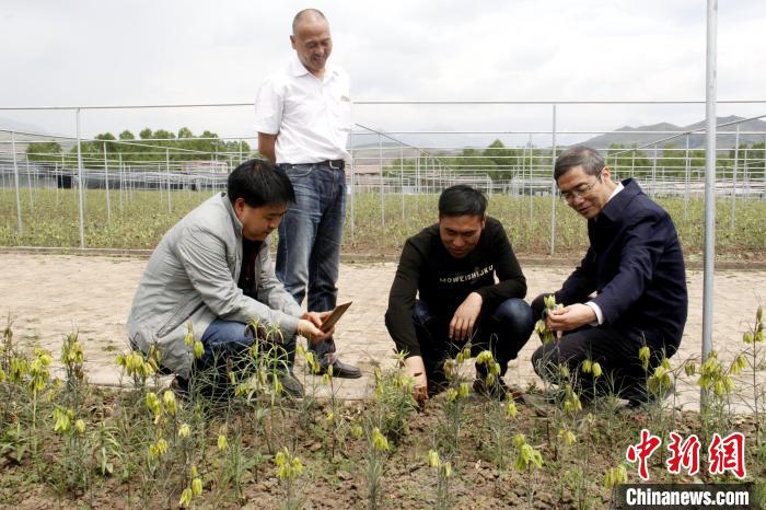 澳门资料大全正版资料2024年免费脑筋急转弯,动态词语解释落实_领航版68.596