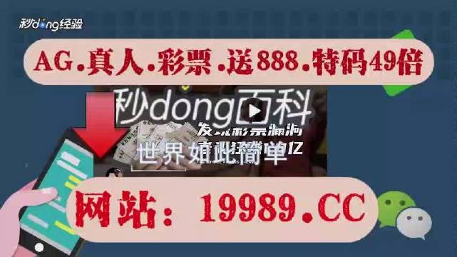 2024澳门特马今晚开奖亿彩网,最新方案解析_复刻版49.343