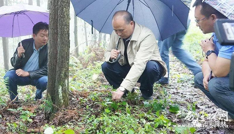 革步乡交通新动态，革新设施助力乡村发展