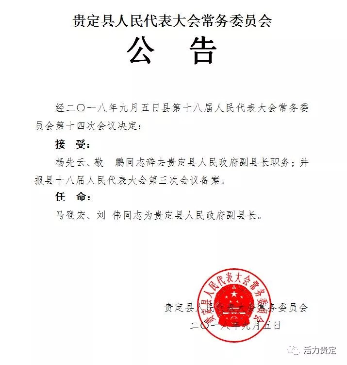 八宝镇最新人事任命动态及其深远影响