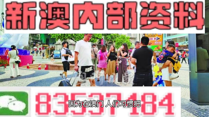 2024新澳精准正版资料,重要性解释落实方法_优选版53.121