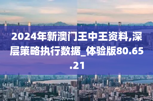 2024新澳门王中王正版,实地验证分析策略_3651.574