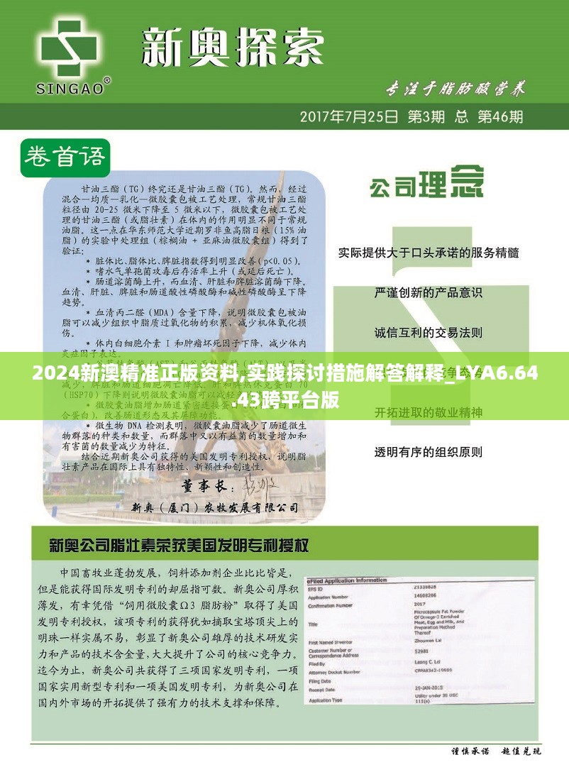 新澳2024年精准正版资料,现状评估解析说明_策略版32.652