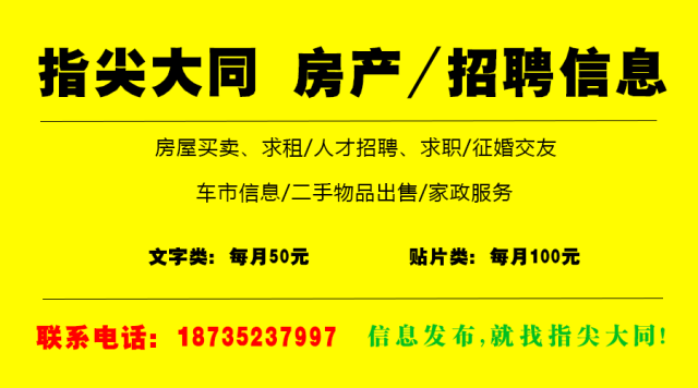 马义村最新招聘信息全面解析