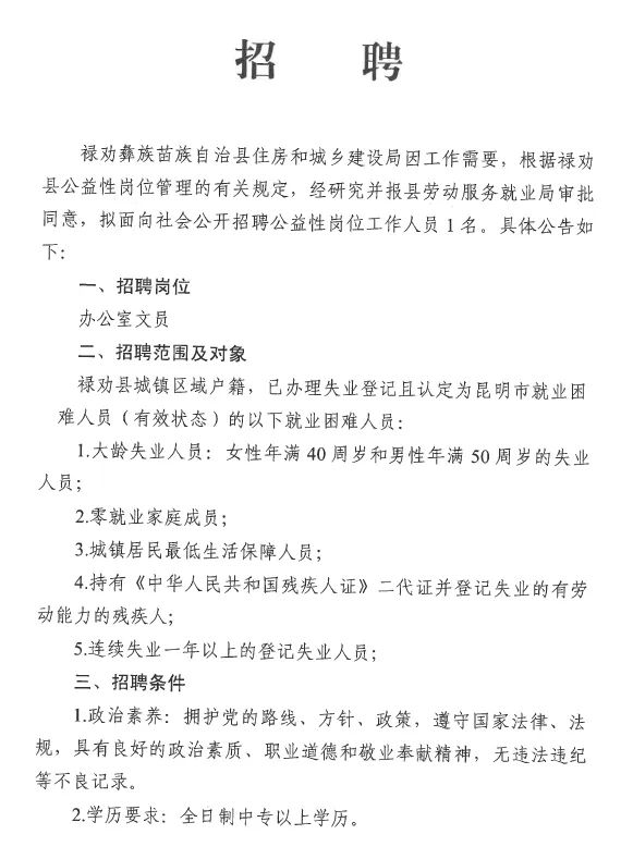 下案村委会最新招聘启事全览