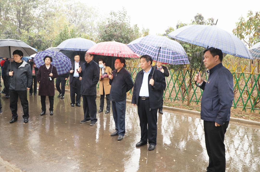 鹤壁集乡发展规划揭秘，打造繁荣宜居乡村新蓝图