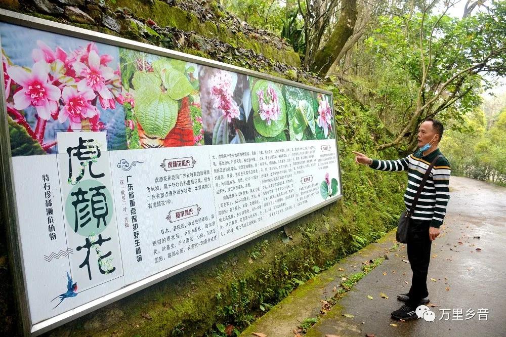 花滩林场最新招聘信息及相关内容深度解析