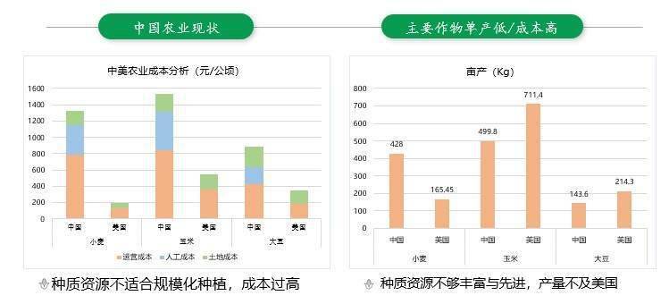 扰人安 第4页