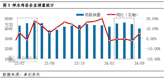 2024新澳今晚资料鸡号几号,实地数据评估执行_特供款80.696