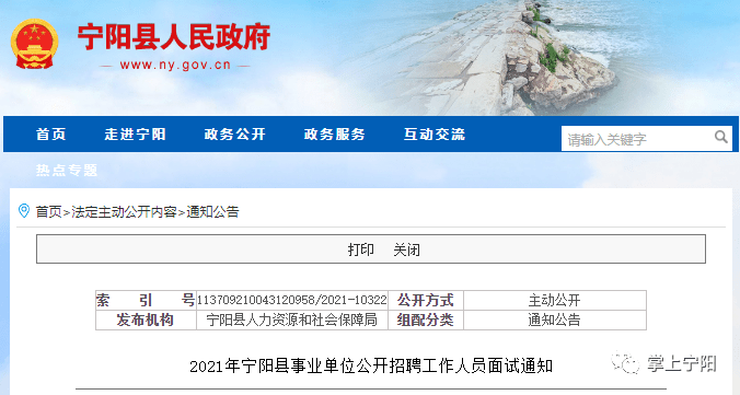 宁阳县统计局最新招聘启事概览