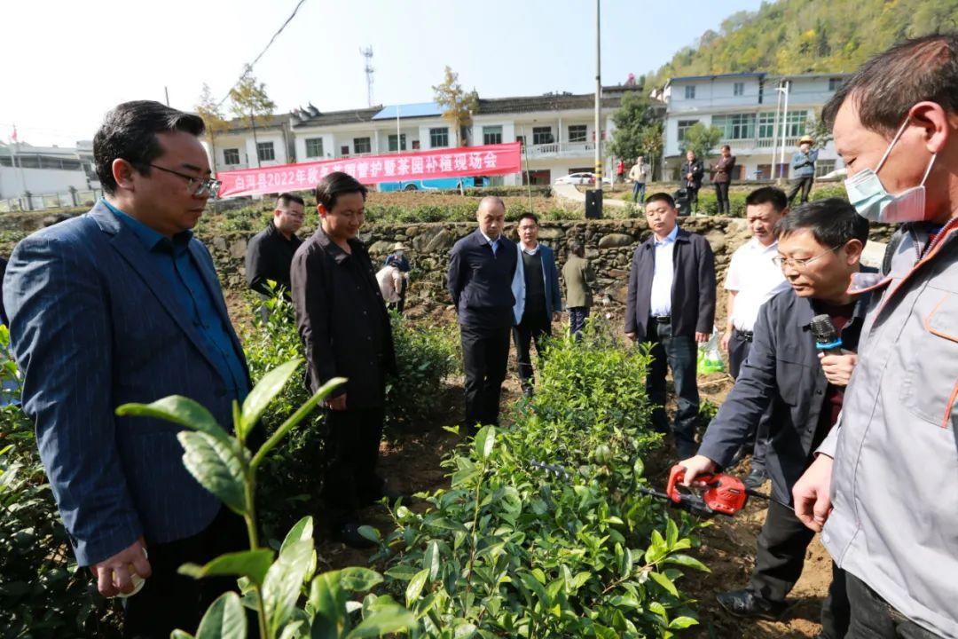 白河县自然资源和规划局新项目，推动可持续发展与生态保护协同前行