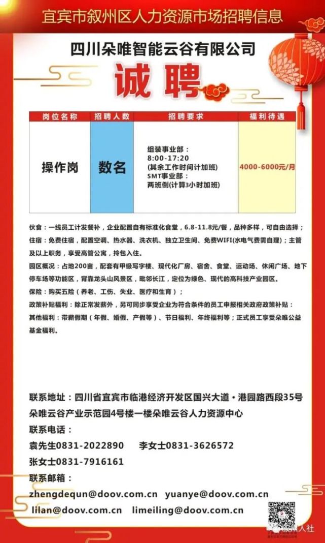 肇源县数据和政务服务局最新招聘公告详解