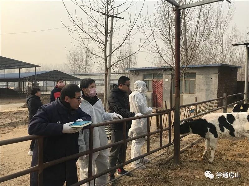 对山奶牛场人事大调整，迈向新辉煌的企业引领者