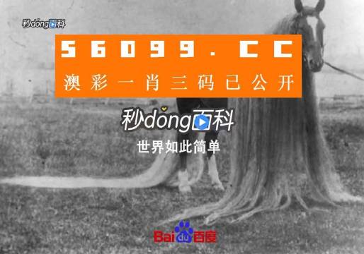 澳门一肖一码一必中一肖同舟前进,灵活解析执行_V48.37