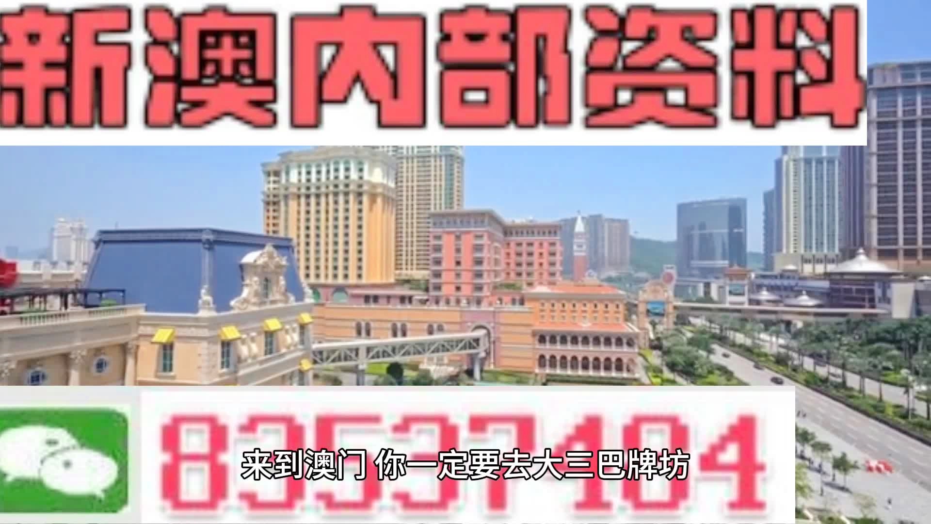 新澳门资料免费长期公开,2024,全面解答解释落实_游戏版256.183