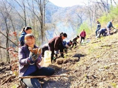 康县最新新闻报道发布