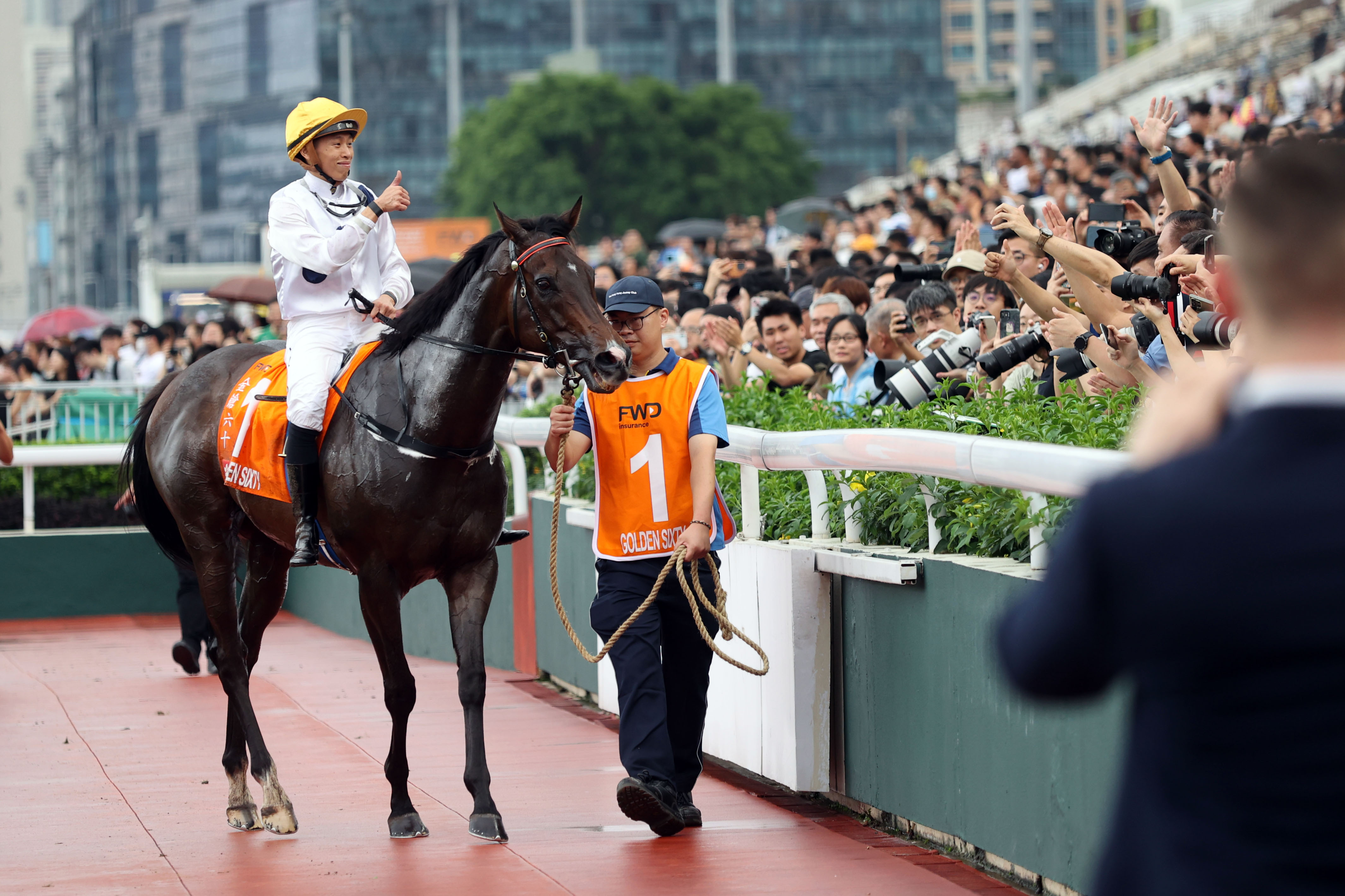 2024香港赛马全年免费资料,快速响应计划分析_界面版26.944