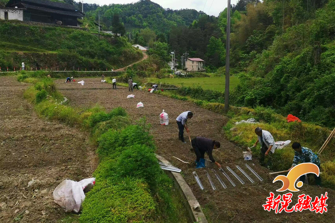 禾滩乡最新发展规划，塑造乡村新面貌，推动可持续发展