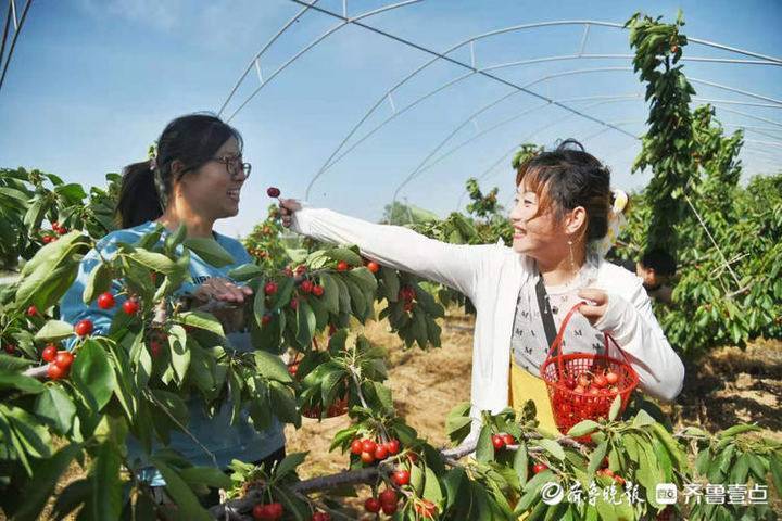 芹洋乡天气预报更新通知