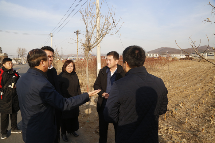 李官镇交通升级助力地方发展最新动态