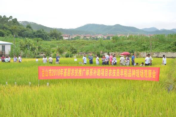 天长市农业农村局最新项目，推动农业现代化，助力乡村振兴