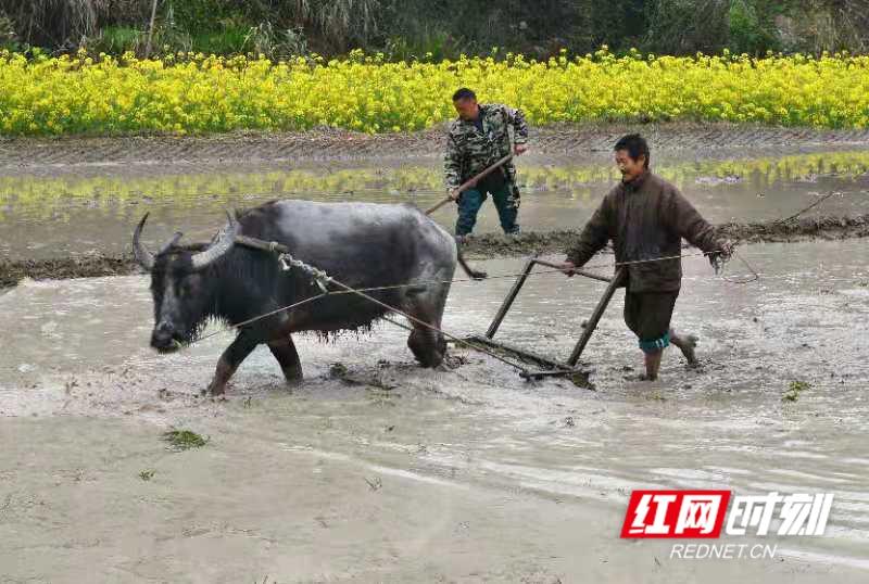 龙船塘瑶族乡新项目，乡村振兴的新动力