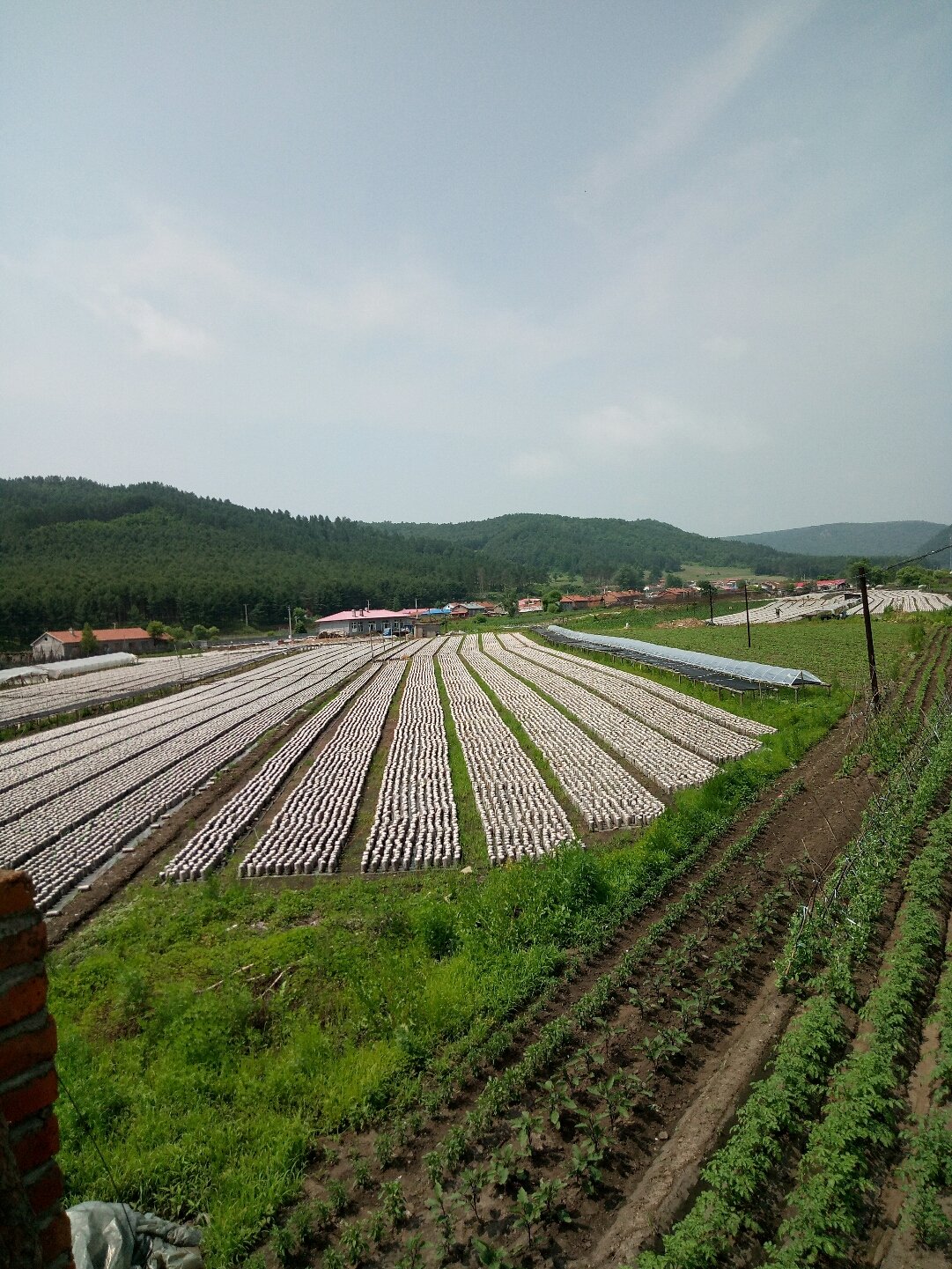 小门家镇天气预报详解，最新气象信息汇总