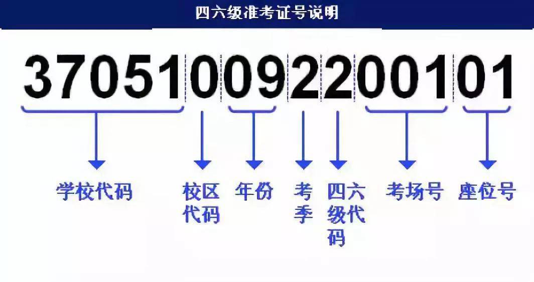 新奥精准资料免费提供630期,快捷解决方案问题_8K94.991