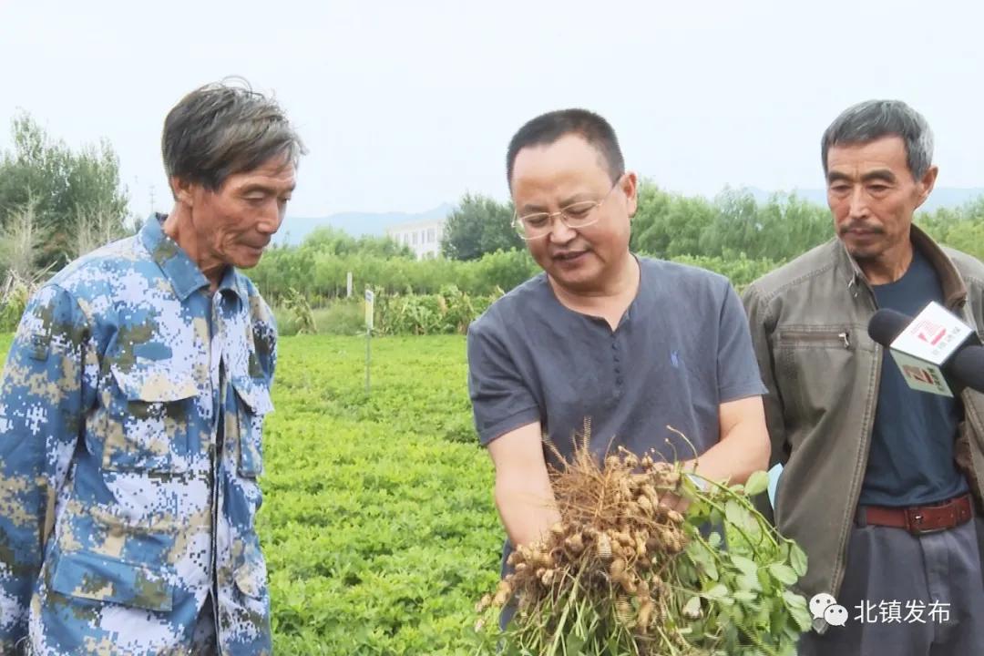 经济作物示范场最新天气预报