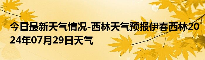 林业总场最新气象预报信息