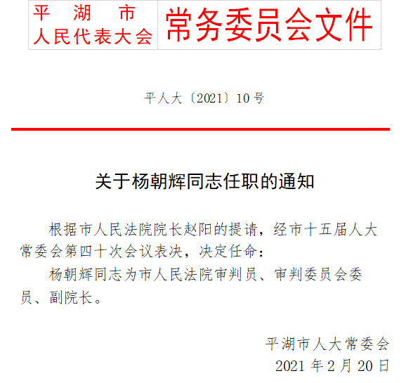 飞云公司最新人事任命，重塑团队力量，引领企业新篇章