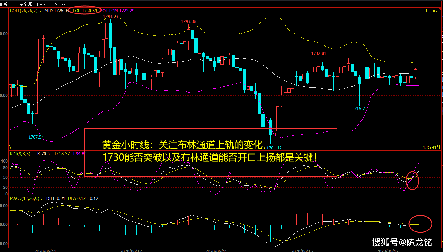 白小姐今晚特马期期准六,数据解析支持设计_Advance75.15