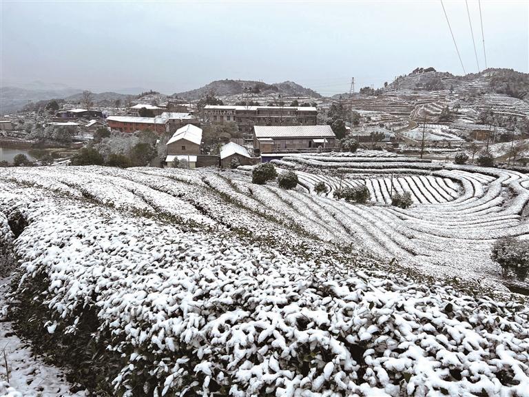 屏南镇天气预报更新通知