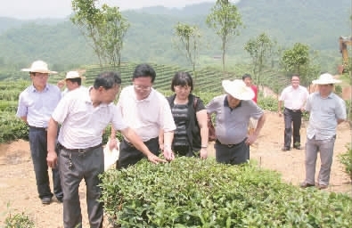 马底驿乡最新领导及其领导团队的工作展望