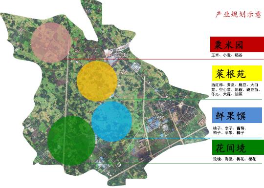 天宁区农业农村局最新发展规划