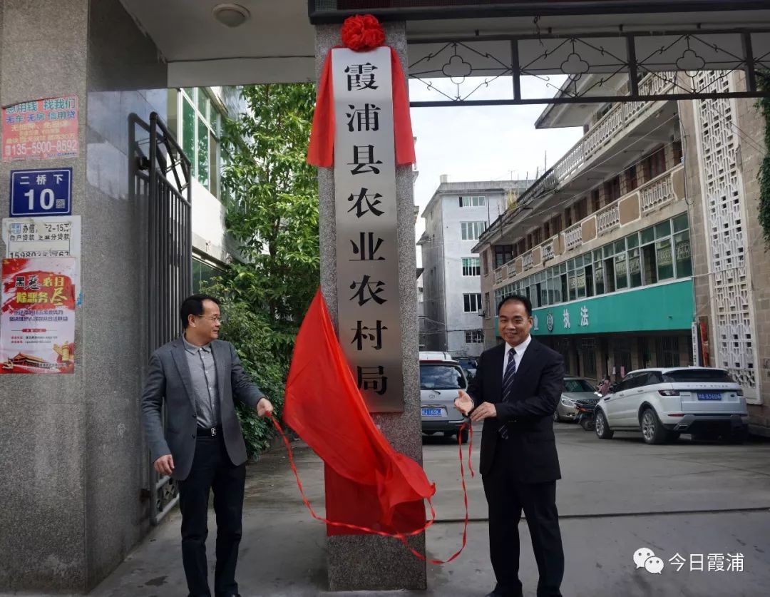 仙游县发展和改革局最新项目概览概览发布