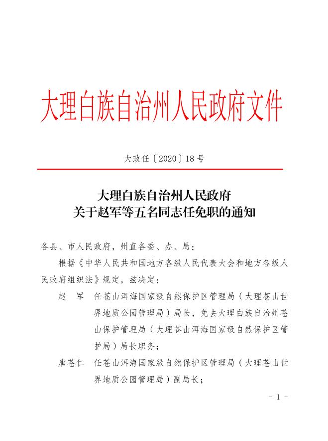 大理白族自治州市行政审批办公室人事任命，推动行政效率提升与改革深化进程