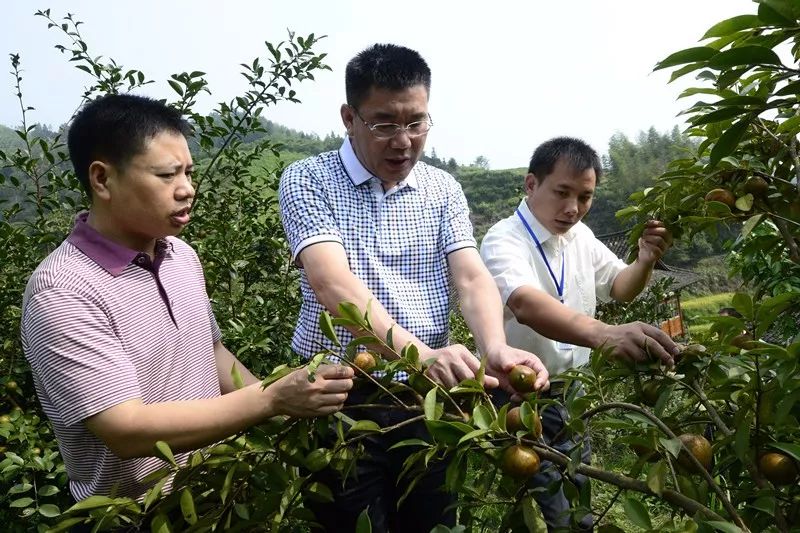 龙胜各族自治县水利局领导团队最新概况