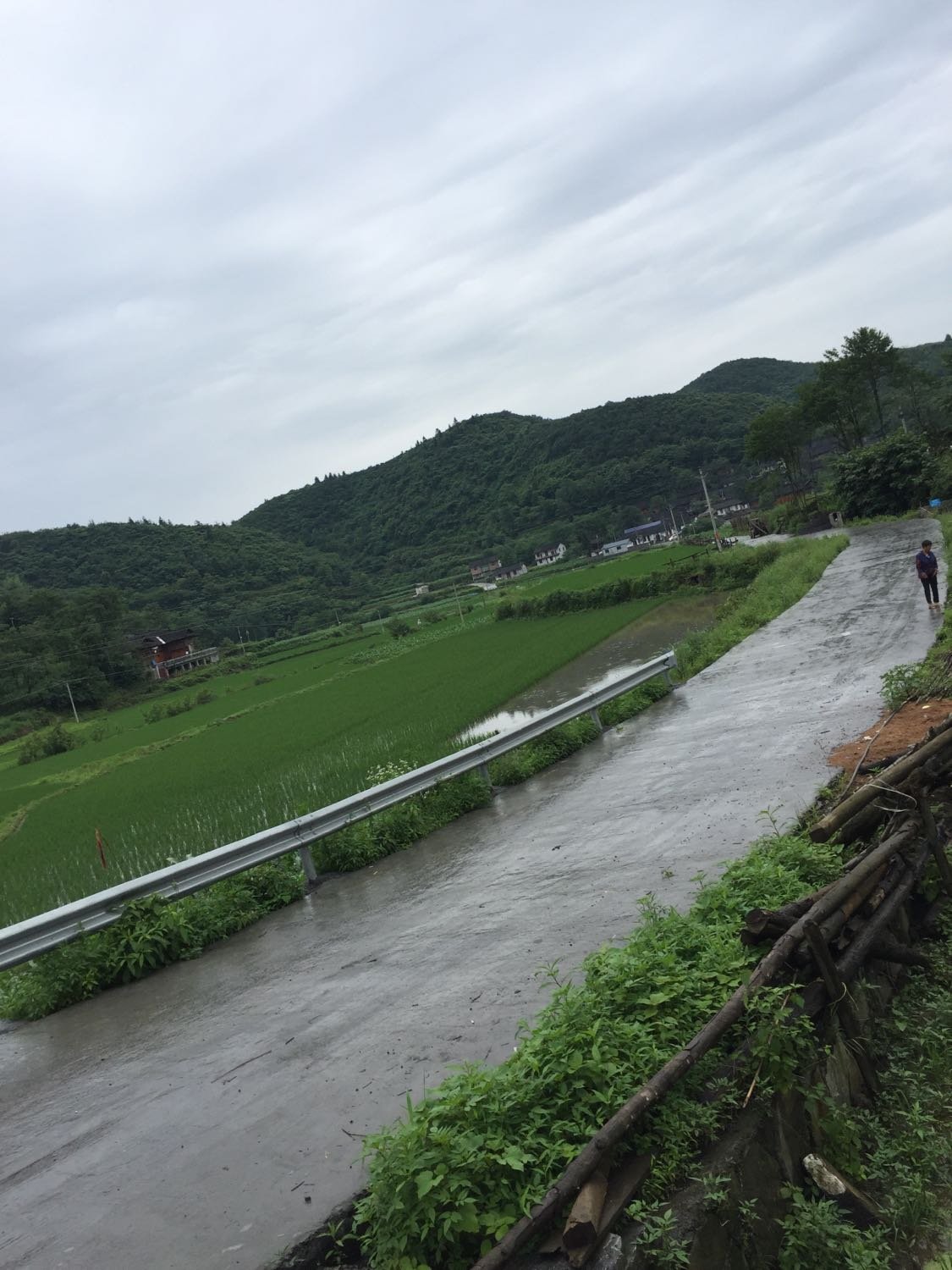 坪城乡最新天气预报