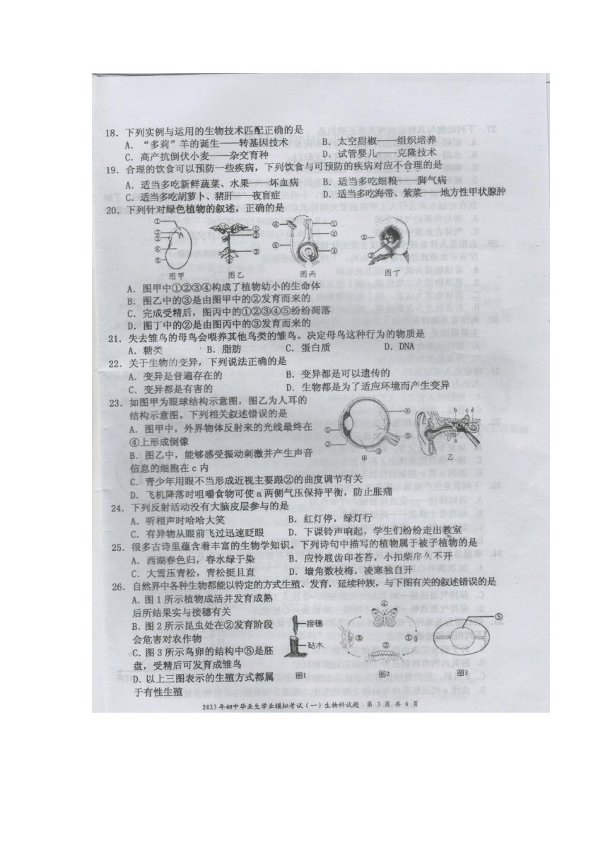 省直辖县级行政单位市国家税务局人事任命深度分析与解读