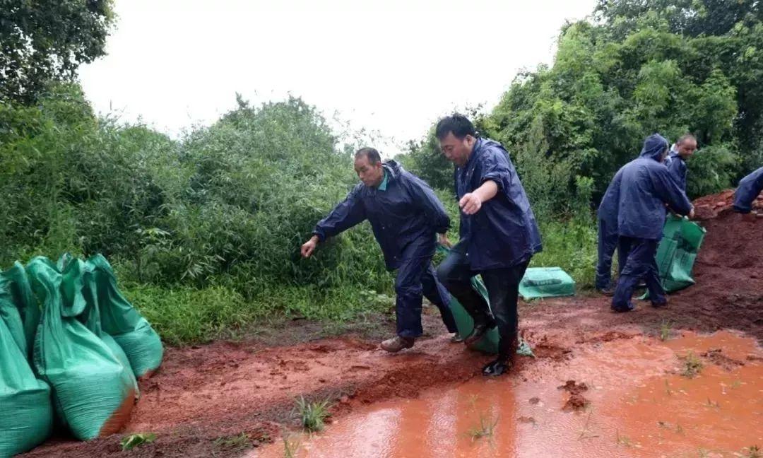 洪洞县万安镇天气预报最新消息