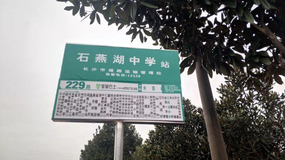 新田县公路运输管理事业单位领导团队，领导风格与管理理念揭秘