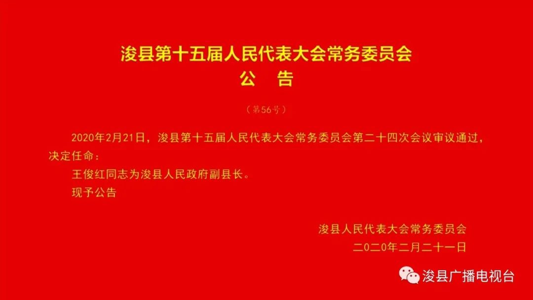 淇县人民政府办公室人事任命揭晓，激发新活力，共筑未来新篇章