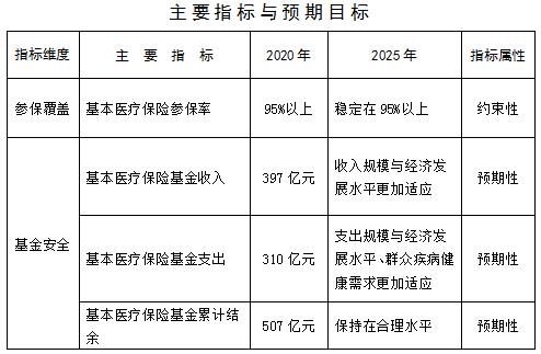 金川县医疗保障局未来发展规划展望